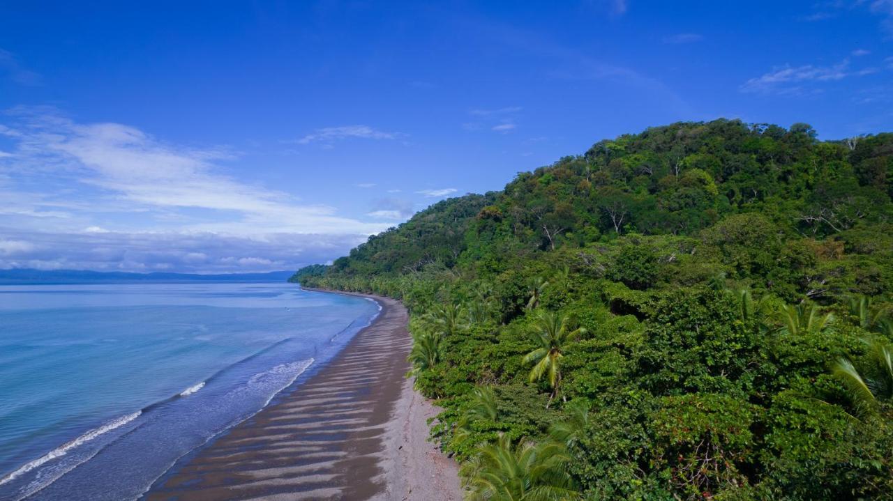 הוילה Piedras Blancas Dolphin Quest Costa Rica מראה חיצוני תמונה
